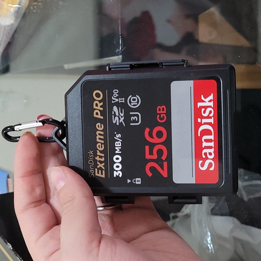 SanDisk Memory Card Case